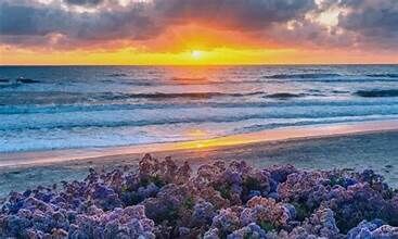 All You Need to Know About Living in Del Mar, San Diego, CA